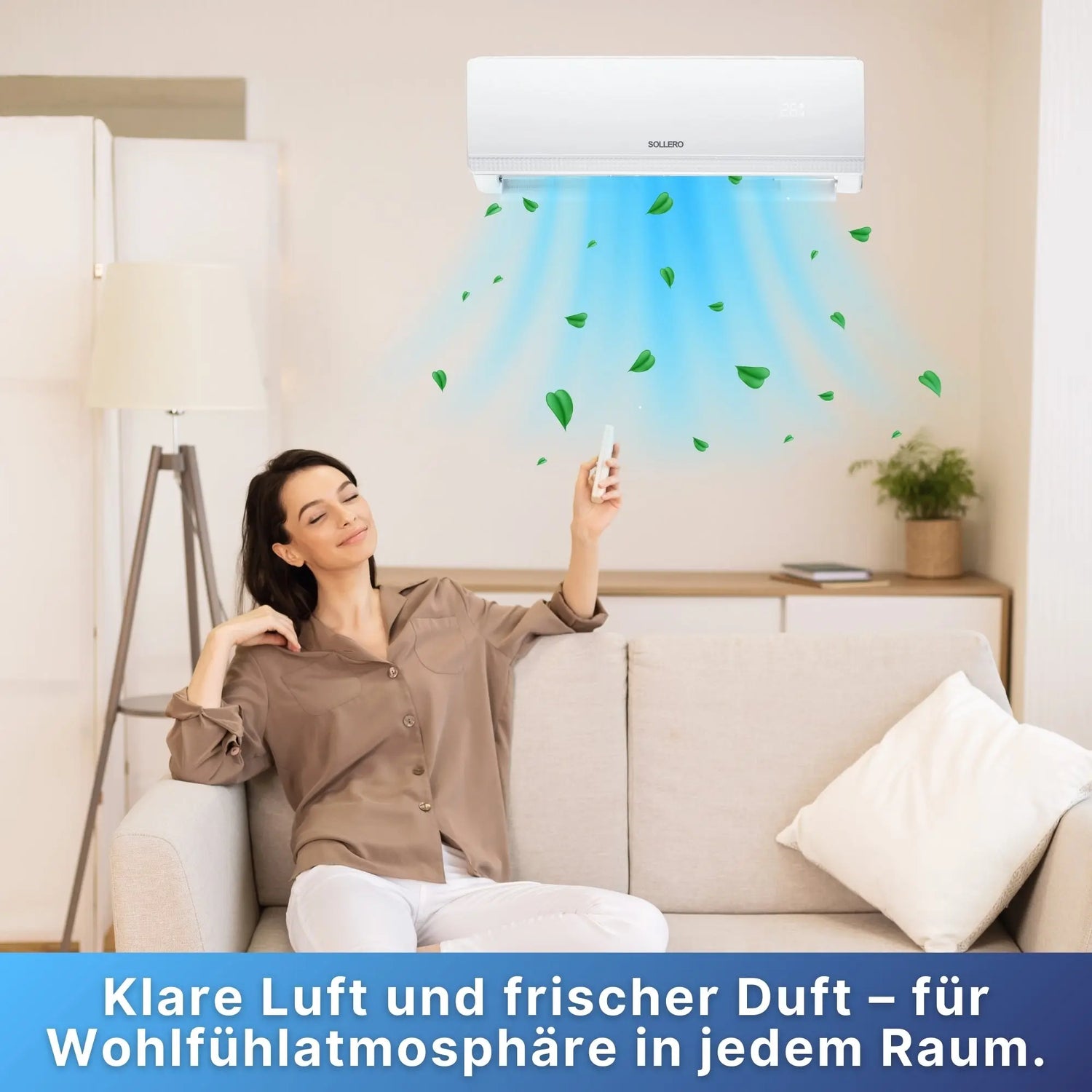 Sollero Klimaanlage Reiniger und Desinfektion 500ml-Sollero