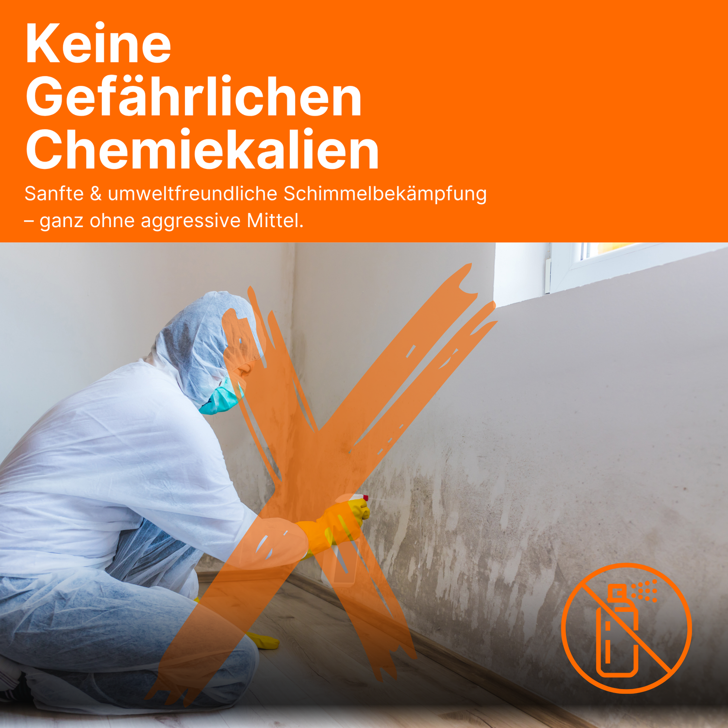 3x Sollero Schimmelentferner Effektiv gegen Schimmel