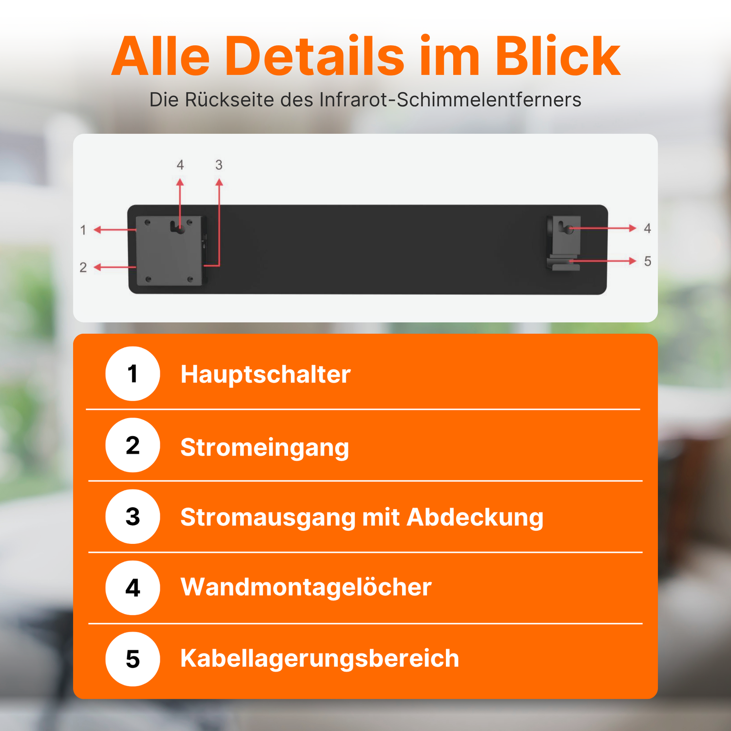 3x Sollero Schimmelentferner Effektiv gegen Schimmel